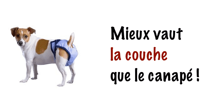 Couches-pour-chien