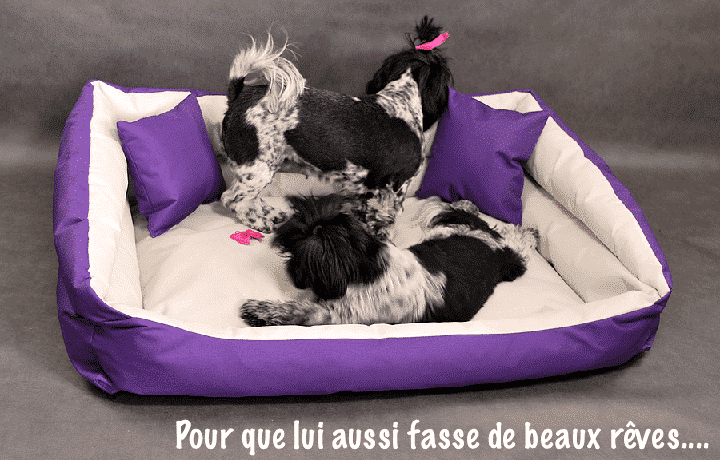 Ou Acheter Un Panier Pour Chien Au Meilleur Prix
