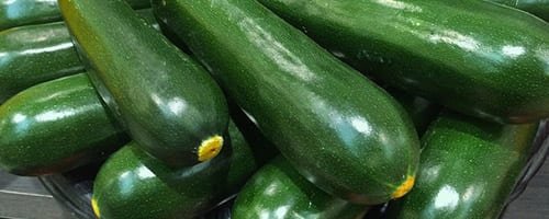 chien mange courgette