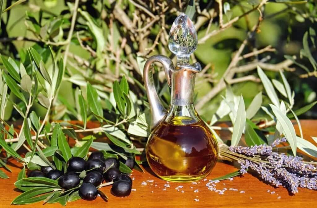 Puis-je donner des olives et de l’huile d’olive à manger à mon chien