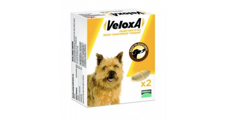 Veloxa Pour Chien Comment ça Marche Est Ce Vraiment