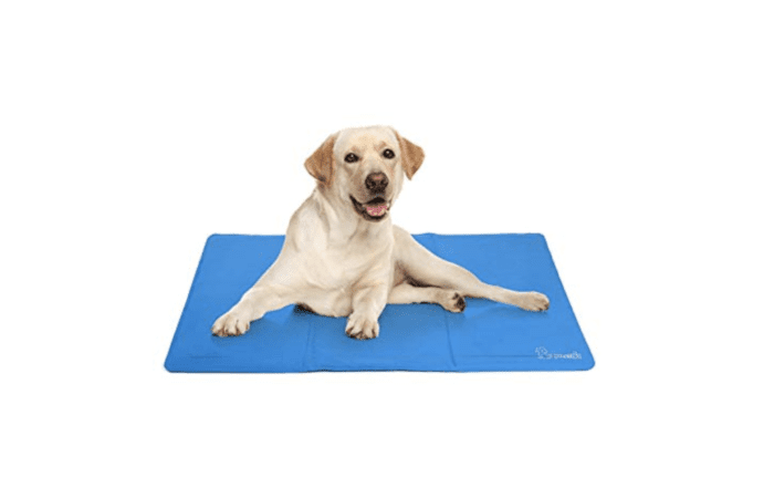 Caniprofcom Infos Conseils Avis Services Pour Votre Chien