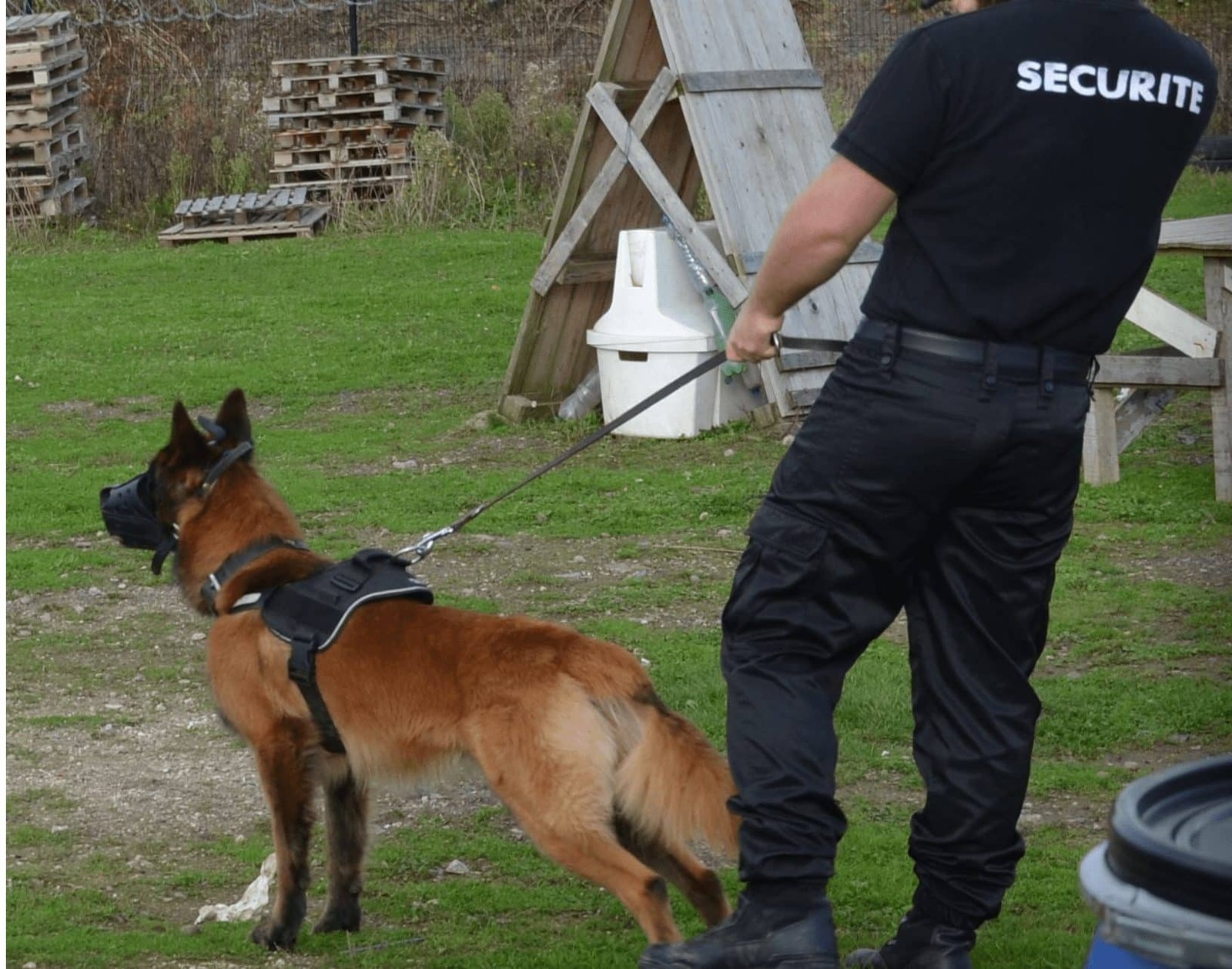 comment devenir maître-chien