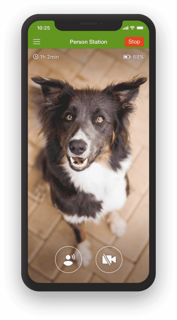 Consultation en ligne educateur canin