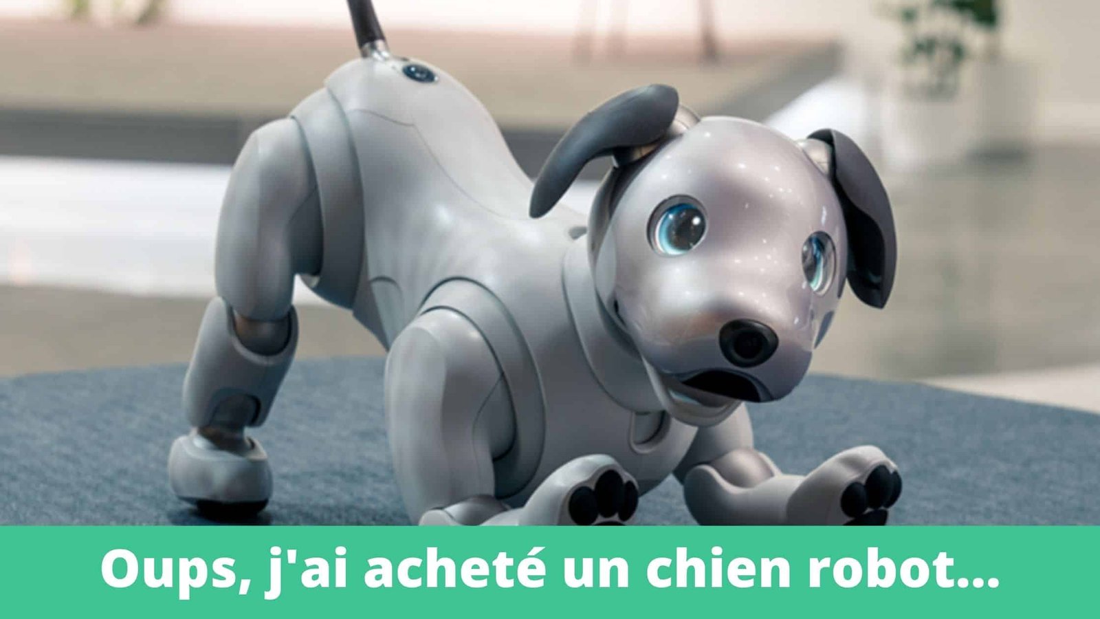 Chien Robot Jouet pour Enfant